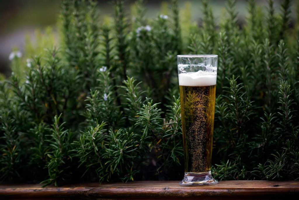 beer for hair care